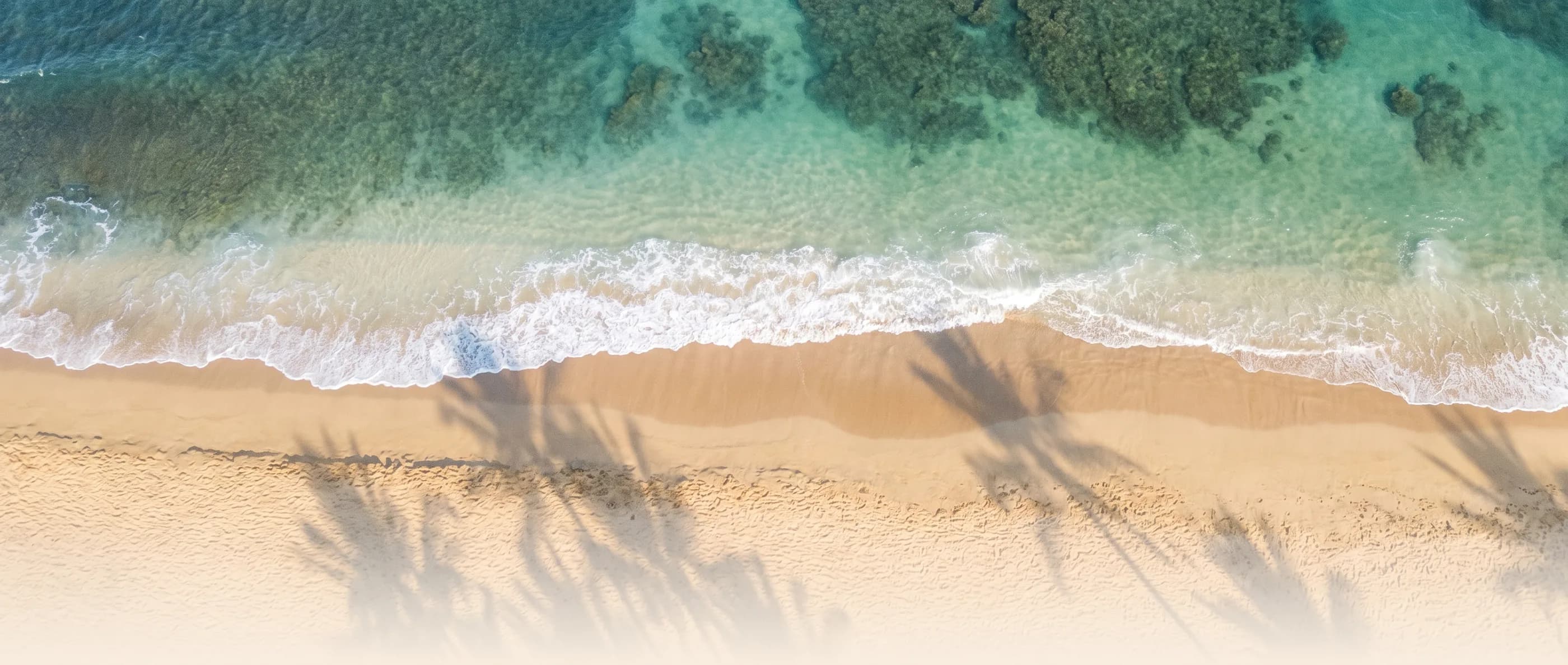 Aerial view of an empty Hawaiian beach with palm shadows across the sand